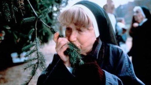 The Christmas Tree filmas žiurėti online