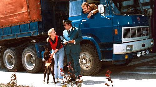 How Do You Feed A Donkey? filmas žiurėti online