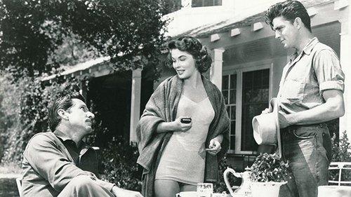 Return of the Texan filmas žiurėti online