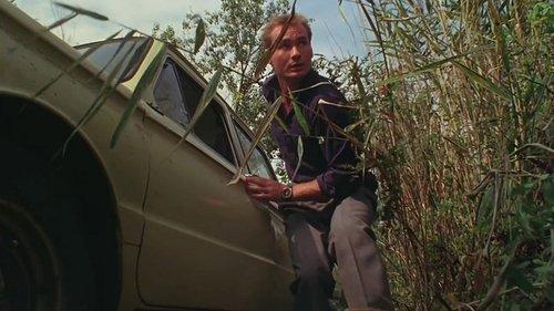 American Boy filmas žiurėti online