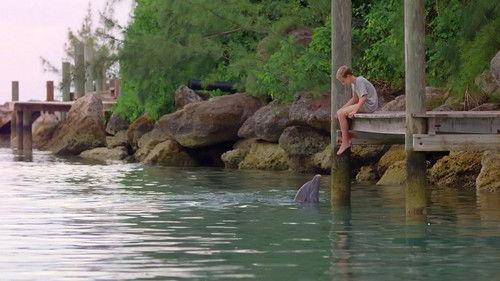 Dolphin Kick filmas žiurėti online