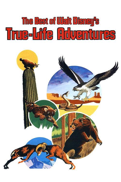 The Best of Walt Disney's True-Life Adventures filmas online