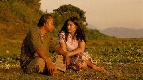 Love Tomato filmas žiurėti online