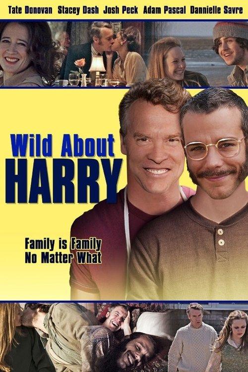Wild About Harry filmas online