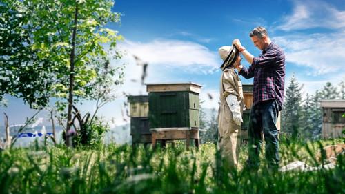 Miłość jak miód filmas žiurėti online