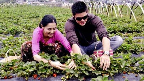 You to Me Are Everything filmas žiurėti online