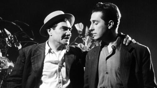 The Big Chamorro Circus filmas žiurėti online