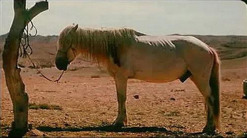 Season of the Horse filmas žiurėti online