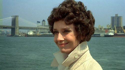 They All Laughed filmas žiurėti online