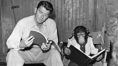 Bedtime for Bonzo filmas žiurėti online