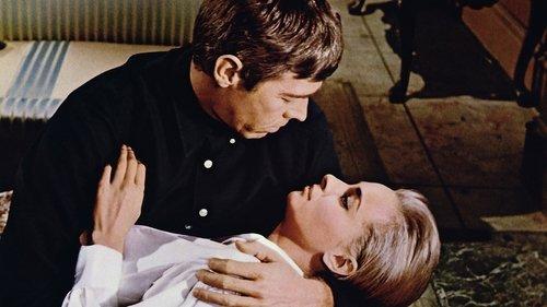 Dead Heat on a Merry-Go-Round filmas žiurėti online