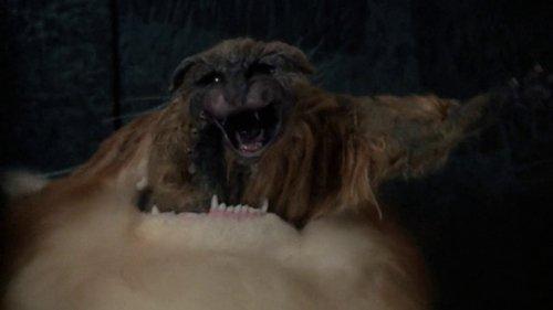 Uninvited filmas žiurėti online