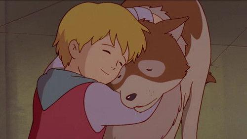 Flandrijos šuo filmas žiurėti online