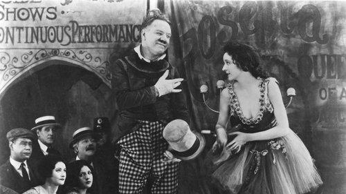 Sally of the Sawdust filmas žiurėti online