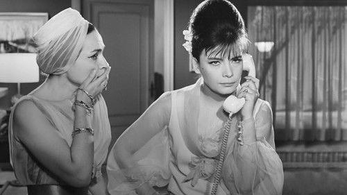 Miss Manager filmas žiurėti online