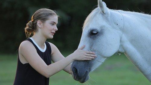 Urban Country filmas žiurėti online