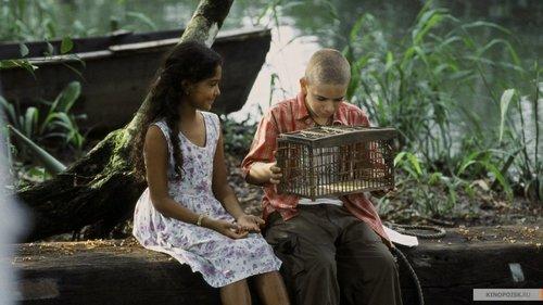 The Blue Butterfly filmas žiurėti online