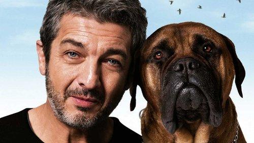 Trumanas filmas žiurėti online