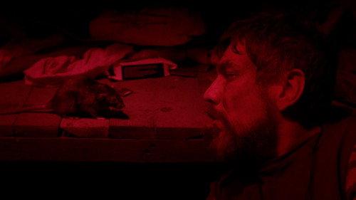 Мишоловка filmas žiurėti online
