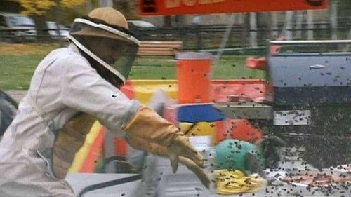 Swarmed filmas žiurėti online