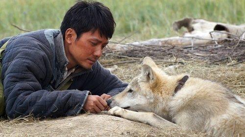 Wolf Totem filmas žiurėti online