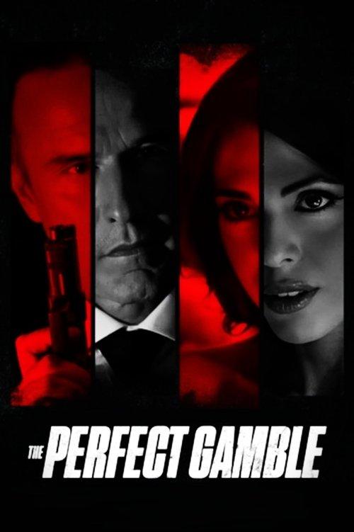 The Perfect Gamble filmas online