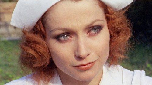 Open Letter to the Evening News filmas žiurėti online