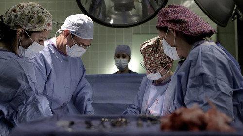 Closer to God filmas žiurėti online