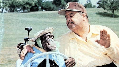 How to Commit Marriage filmas žiurėti online