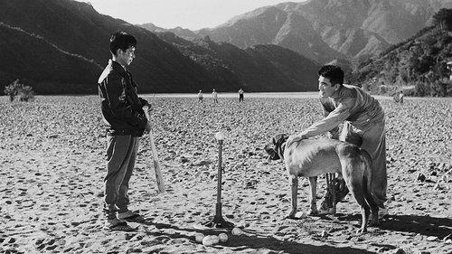 I Will Buy You filmas žiurėti online