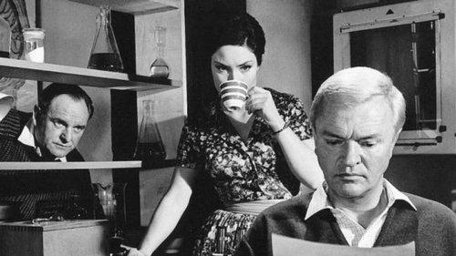 The Brain filmas žiurėti online