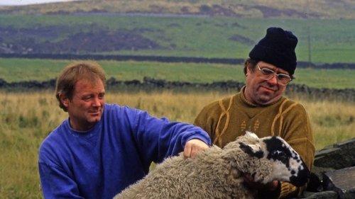 Raining Stones filmas žiurėti online