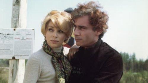 Summit filmas žiurėti online