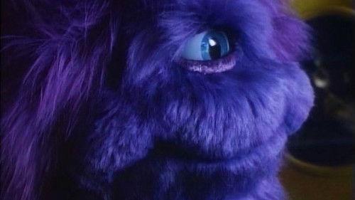 Purple People Eater filmas žiurėti online