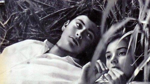 Latin Lovers filmas žiurėti online