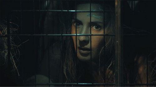 Wild Boar filmas žiurėti online