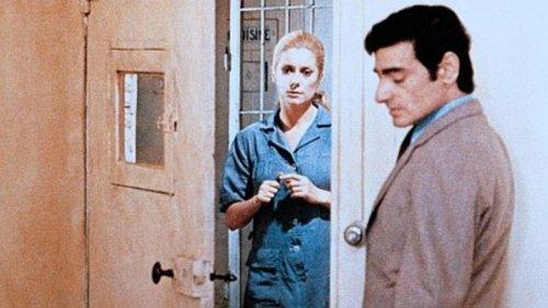 A Second Chance filmas žiurėti online