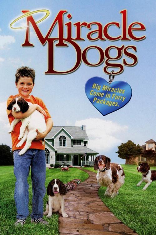Miracle Dogs filmas online