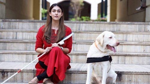 Netrikann filmas žiurėti online