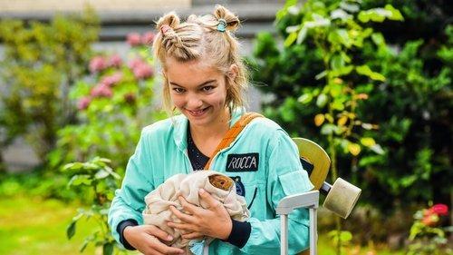 Roka keičia pasaulį filmas žiurėti online