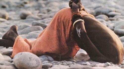 This Violent World filmas žiurėti online