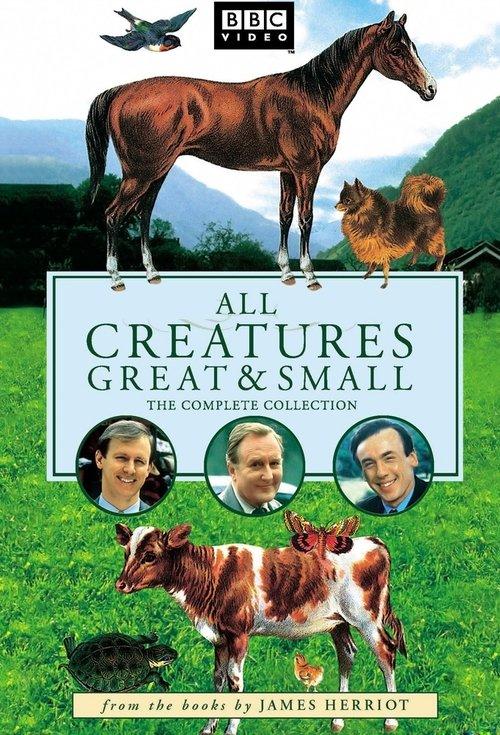 All Creatures Great and Small filmas online