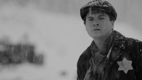 Bau, Artist at War filmas žiurėti online