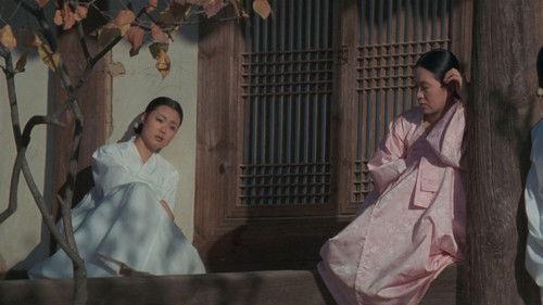 The Hut filmas žiurėti online