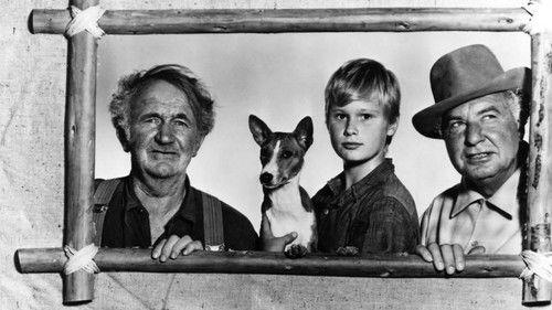 Good-bye, My Lady filmas žiurėti online