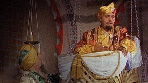 La odalisca No. 13 filmas žiurėti online