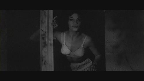 Curse of the Fly filmas žiurėti online