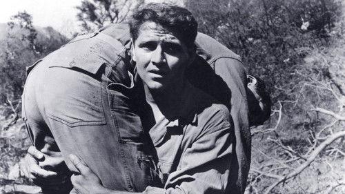 Shell Shock filmas žiurėti online