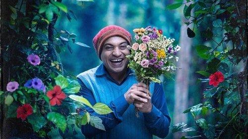 Ambili filmas žiurėti online