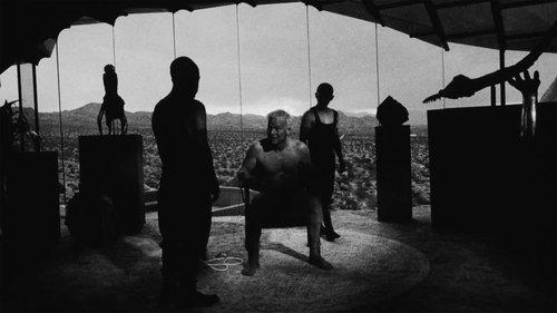 Divinity filmas žiurėti online